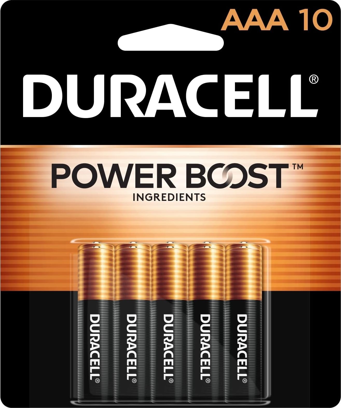 AAA Batteries 10 Pack
