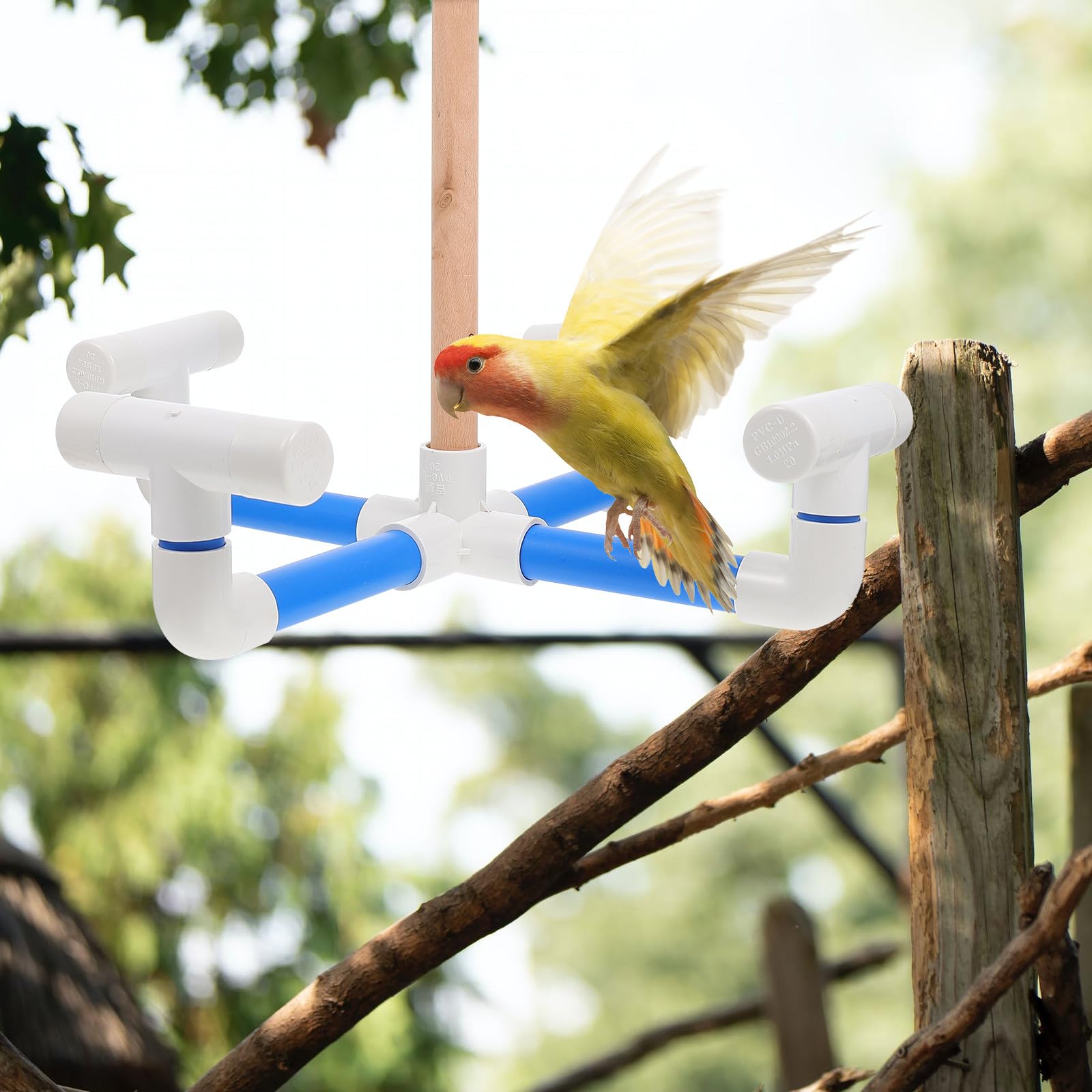 Outanaya Leichtes Vogelspielzeug aus Kunststoff und Holz Drehbares Papageien Karussell für Käfig Bissfestes Lernspielzeug für Wellensittiche und Sittiche