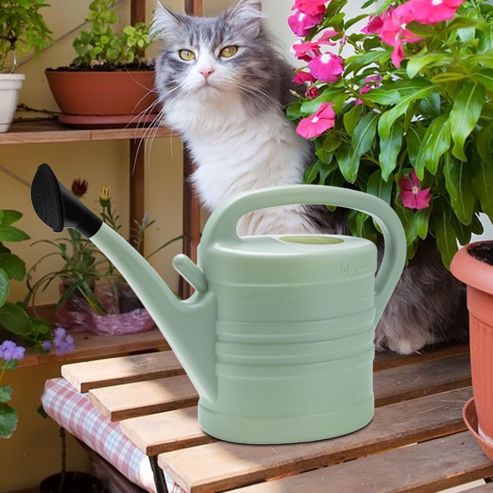 Arrosoir Jardin 2L Noir - Buse Amovible Et Poignée Ergonomique
