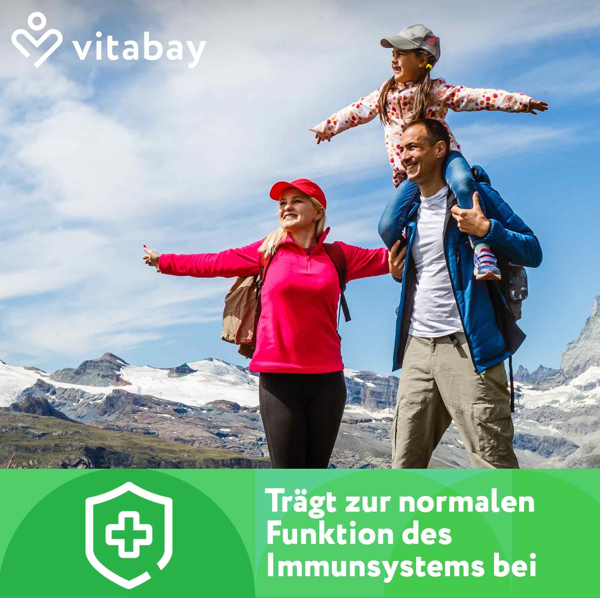 Vitabay Ginkgo Biloba 6000mg Hochdosiert - 180 Ginkgo Kapseln VEGAN - Kapseln mit 24% Flavone & 6% Lactone - Hochdosiert Vegan und Laborgeprüft