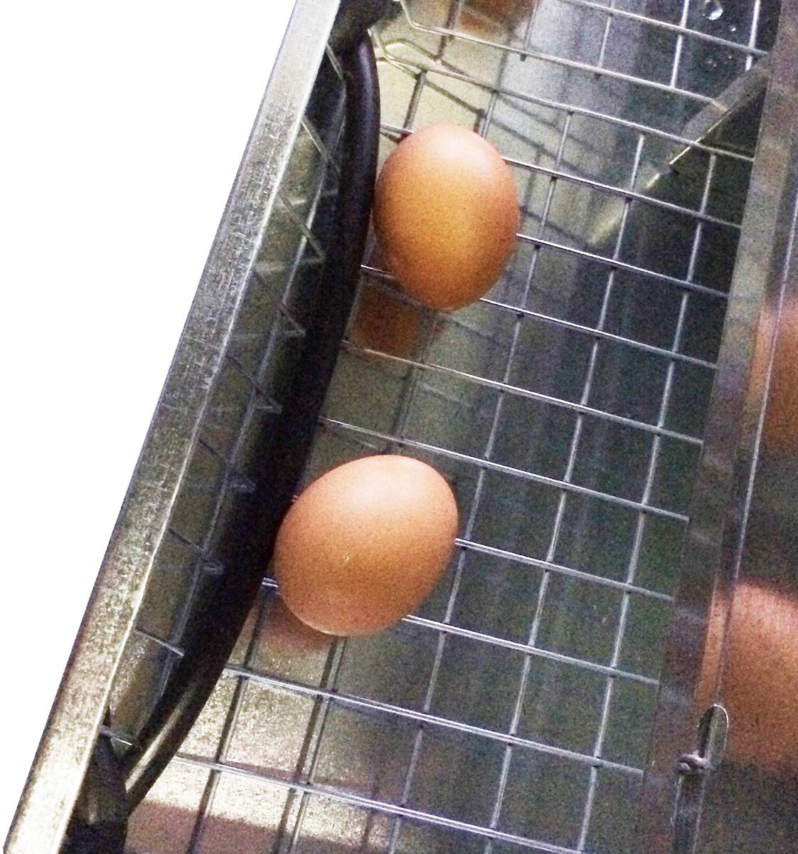 Nido a 5 Posti per Galline Ovaiole. Raccolta Uova dall'Esterno del Pollaio. Ingombro cm 140 x 39 x H 42