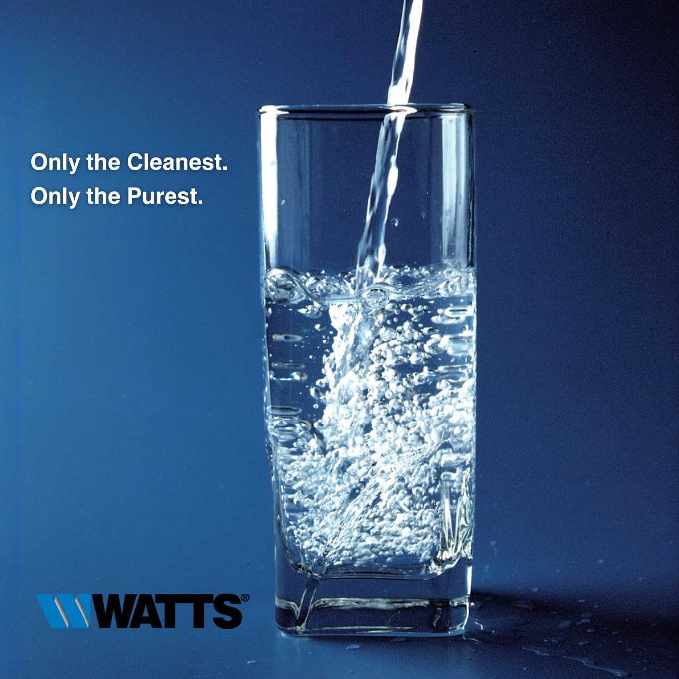 Watts (FP10GT in-Line Carbon Filter Cartridge (1201.11)