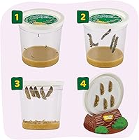 Vista 6 de Insect Lore Jardín de mariposas con 10 orugas vivas para bebés, hábitat, alimentador, soportes para tapa Chrys-A, diario de actividades STEM
