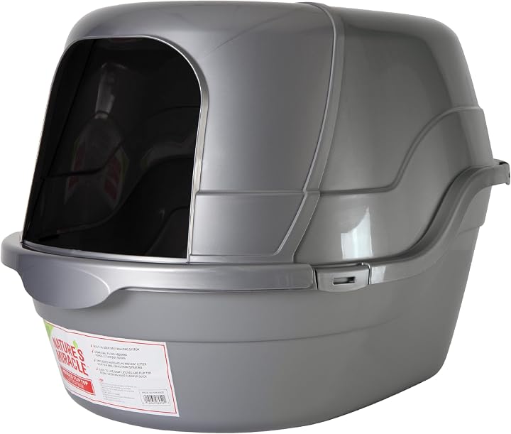 Transparent editorial object representing Lifestyle