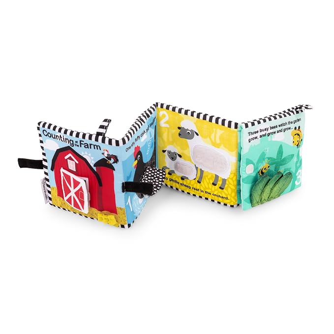 Amazon.com: Baby Einstein Farm Explorers Counting at The Farm Soft