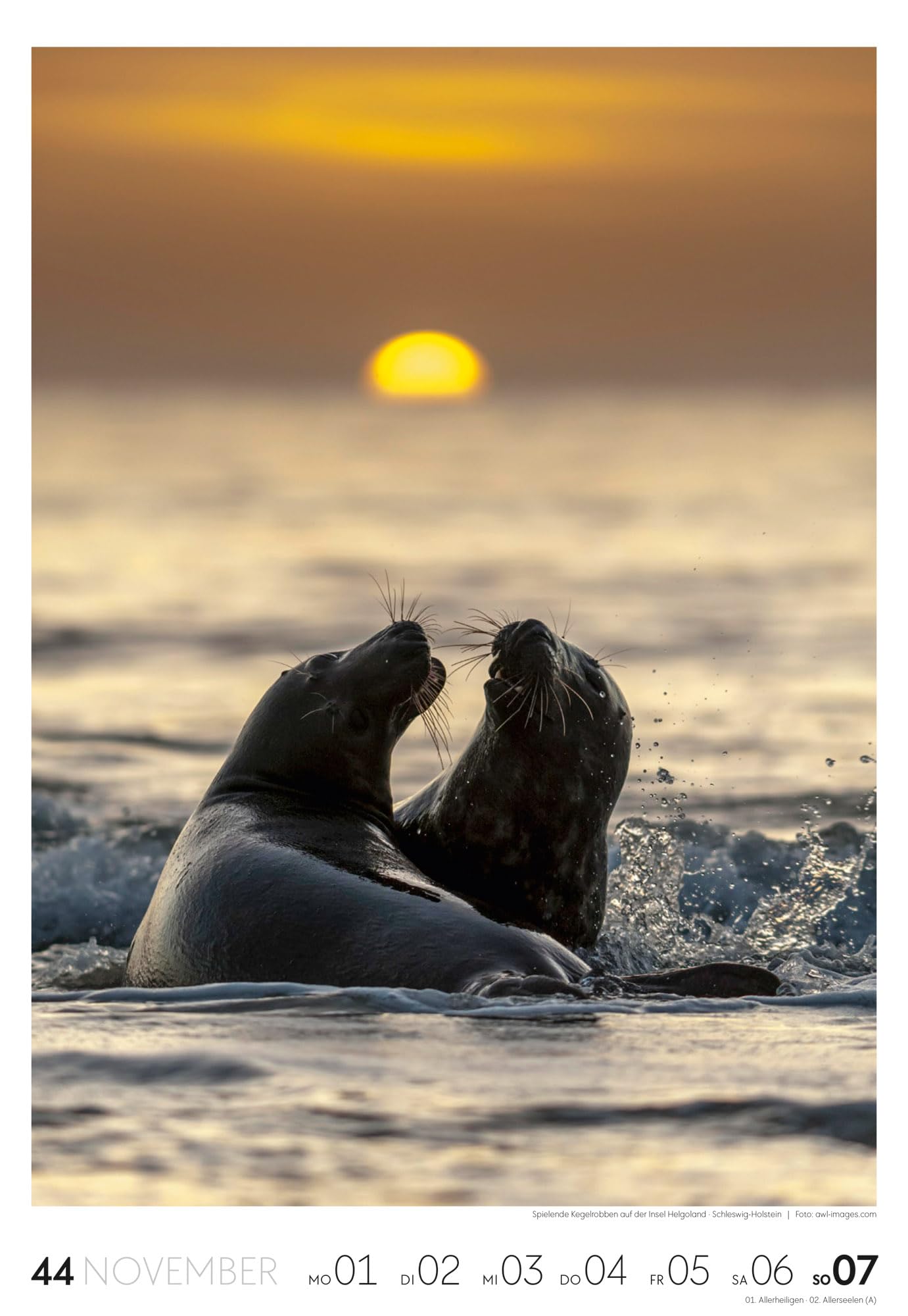 Küste Wochenkalender 2027: Meeres-Kalender mit 53 großformatigen Bildern im Hochformat (29x42 cm) | Strände der Ostsee und Nordsee in Deutschland