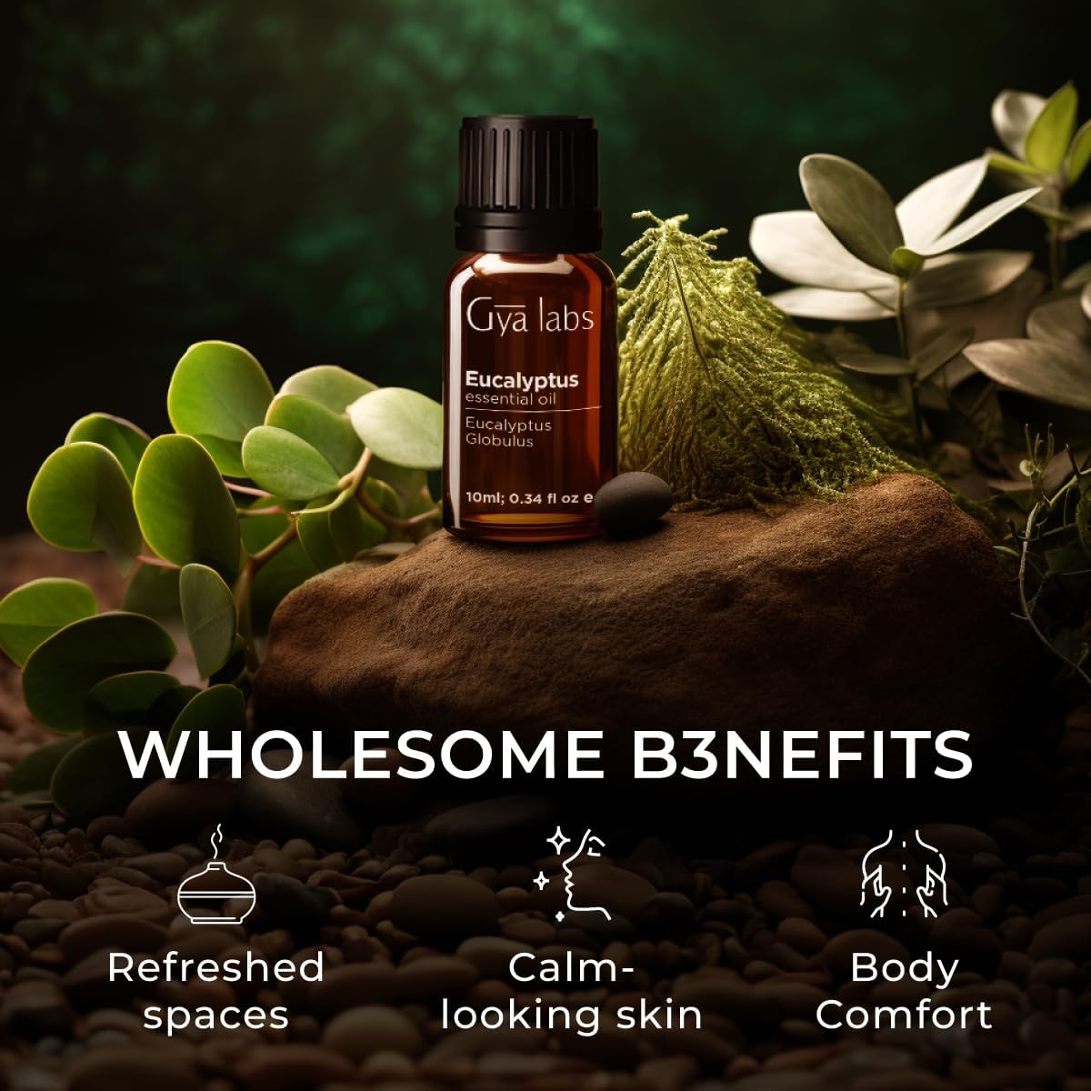 Sandalwood Essential Oils for Diffuser & Eucalyptus Essential Oil for Diffuser Set - Aromatherapy Grade Essential Oils Set - 2x0.34 fl oz - Gya Labs