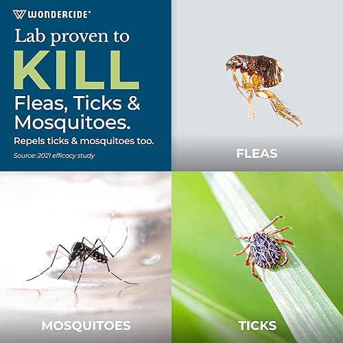 Miniatura 3 de Control de pulgas y espray  mata controla y previene las pulgas garrapatas mosquitos y otros insectos aplica con manguera extremo pulverizador  16