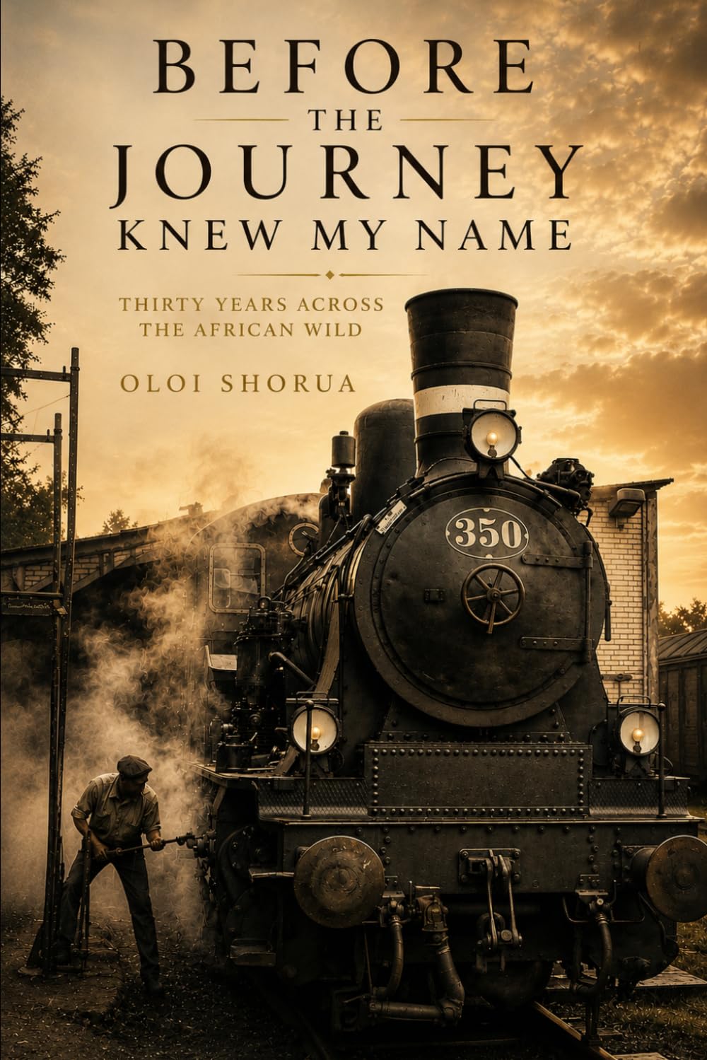 Before The Journey Knew My Name: Thirty Years Across the African Wild