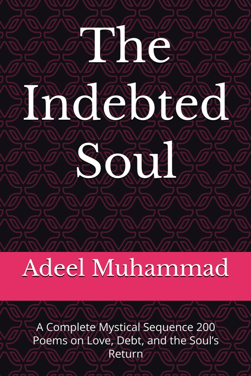 The indebted Soul: A Complete Mystical Sequence 200 Poems on Love, Debt, and the Soul’s Return