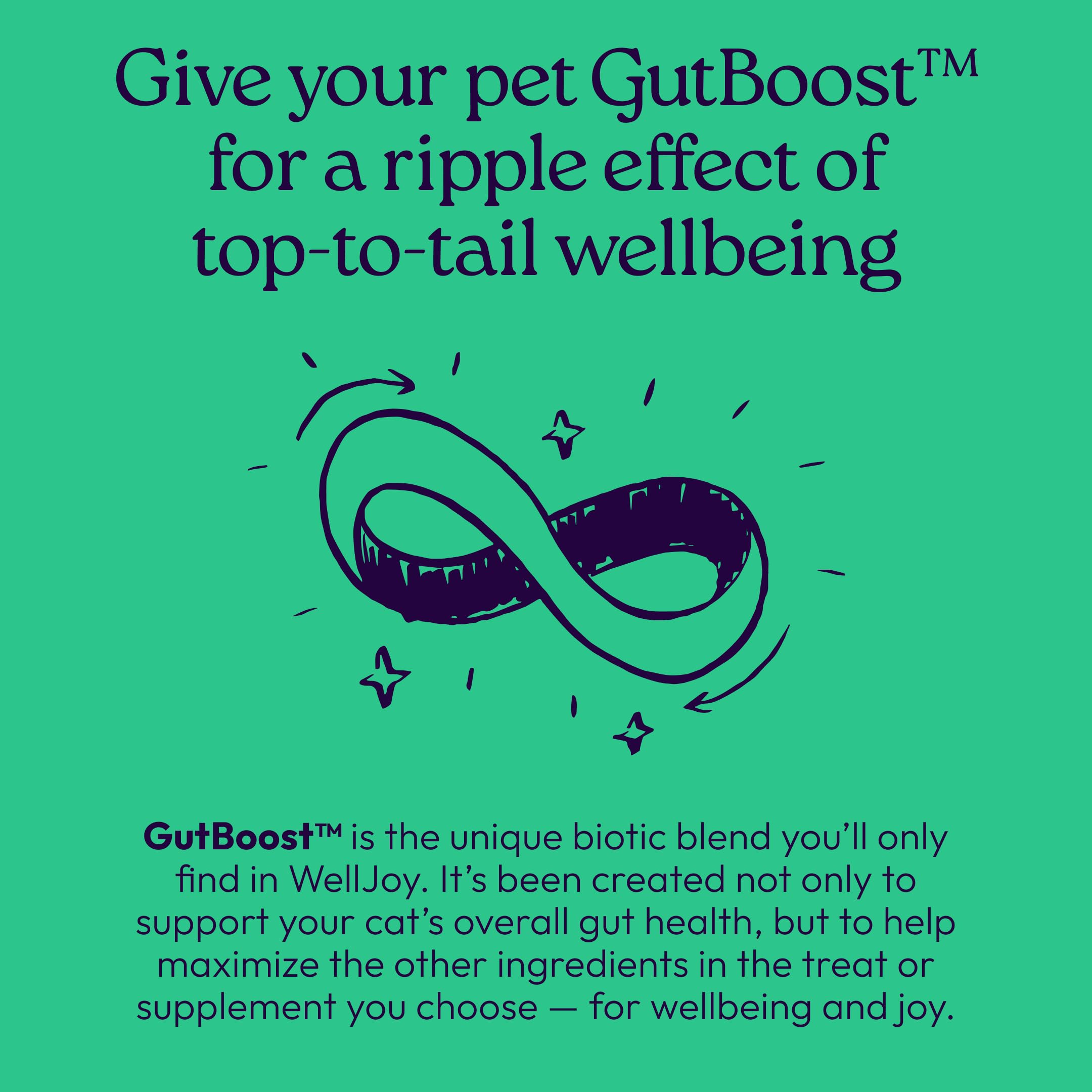 New! WellJoy Cat Treat Dental+ GutBoost | Helps Reduce Tartar | Helps Freshen Breath | Dual-Benefit GutBoost Formulation | Vet Formulated | Made in USA | Made with Real Chicken | 120 Soft Chews - image 8