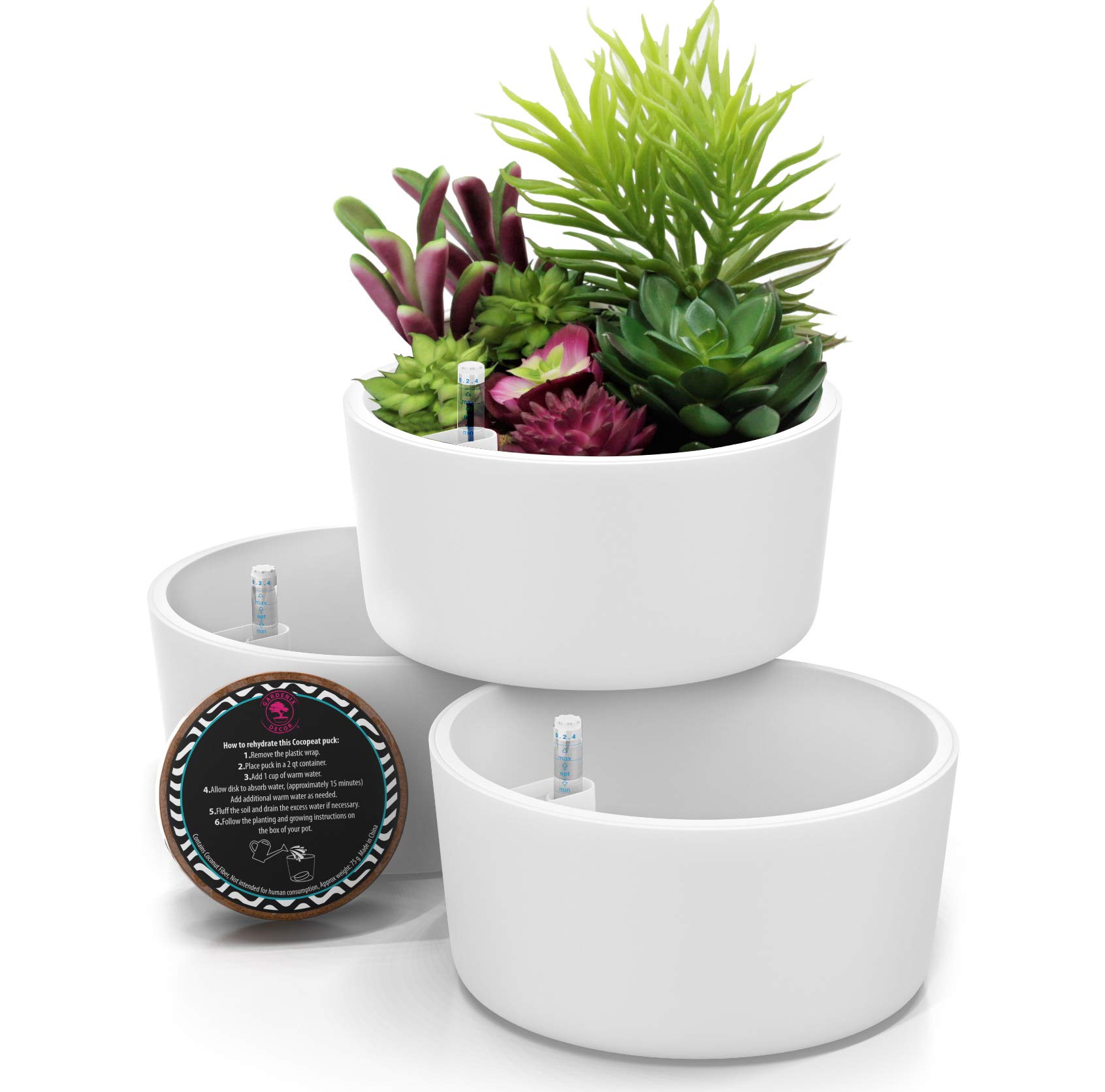 Buy 6" pots selfWatering Succulent pots Easy Succulent ers pots for