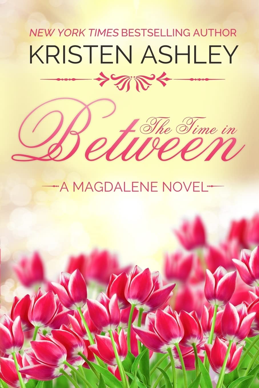 The Time in Between: Volume 3 (The Magdalene Series).9781545505489 New<|