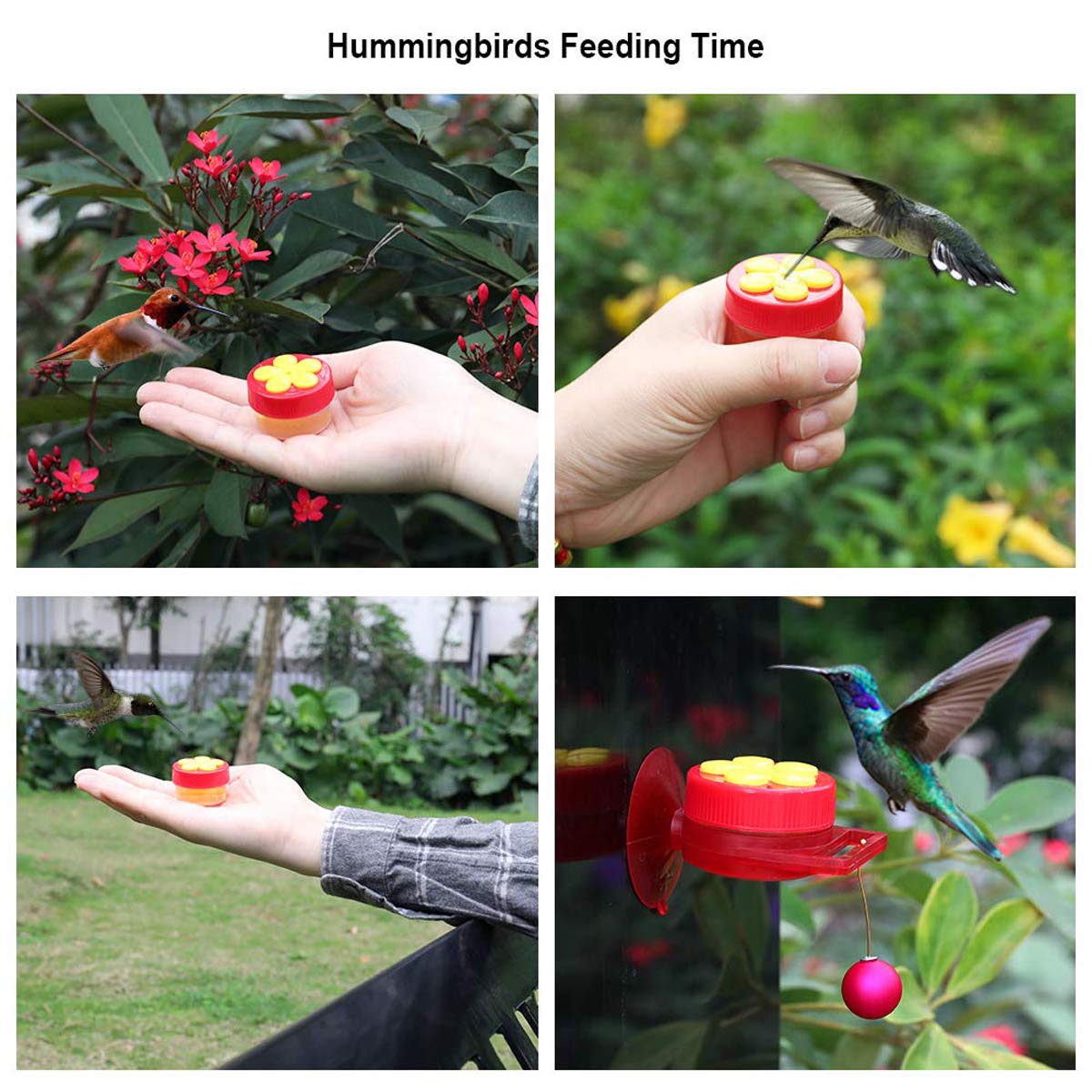 Naomo Comederos de mano para colibríes, comederos de mano con ventosa, mini comederos para colibríes con perchas para exteriores, kit de comedero multifuncional para colibríes, incluye cepillo de