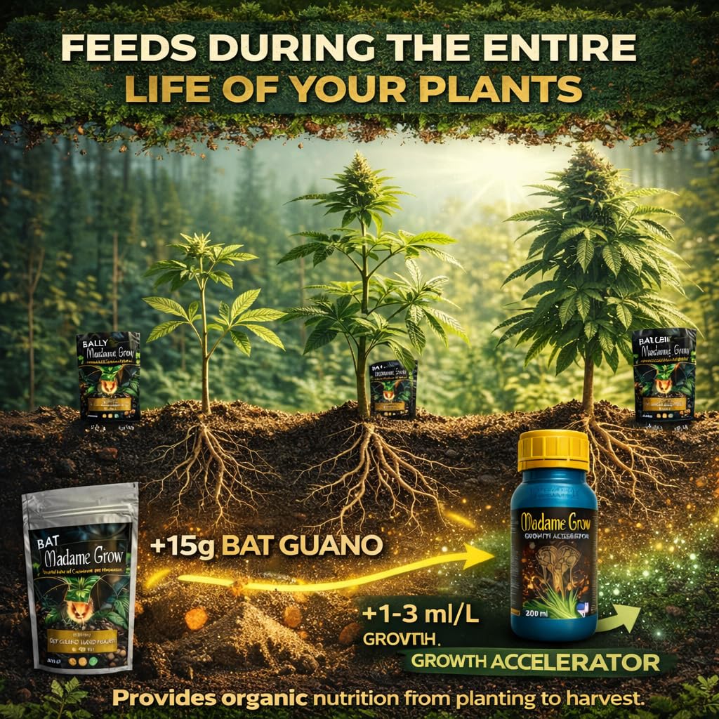 MADAME GROW Boost Kit Wachstumsbeschleuniger 500 ml + Fledermausguano 500 g, Pflanzenwurzel- und Blühdünger, Pflanzendünger, Wachstum und Stimulator, bereichert Substrat