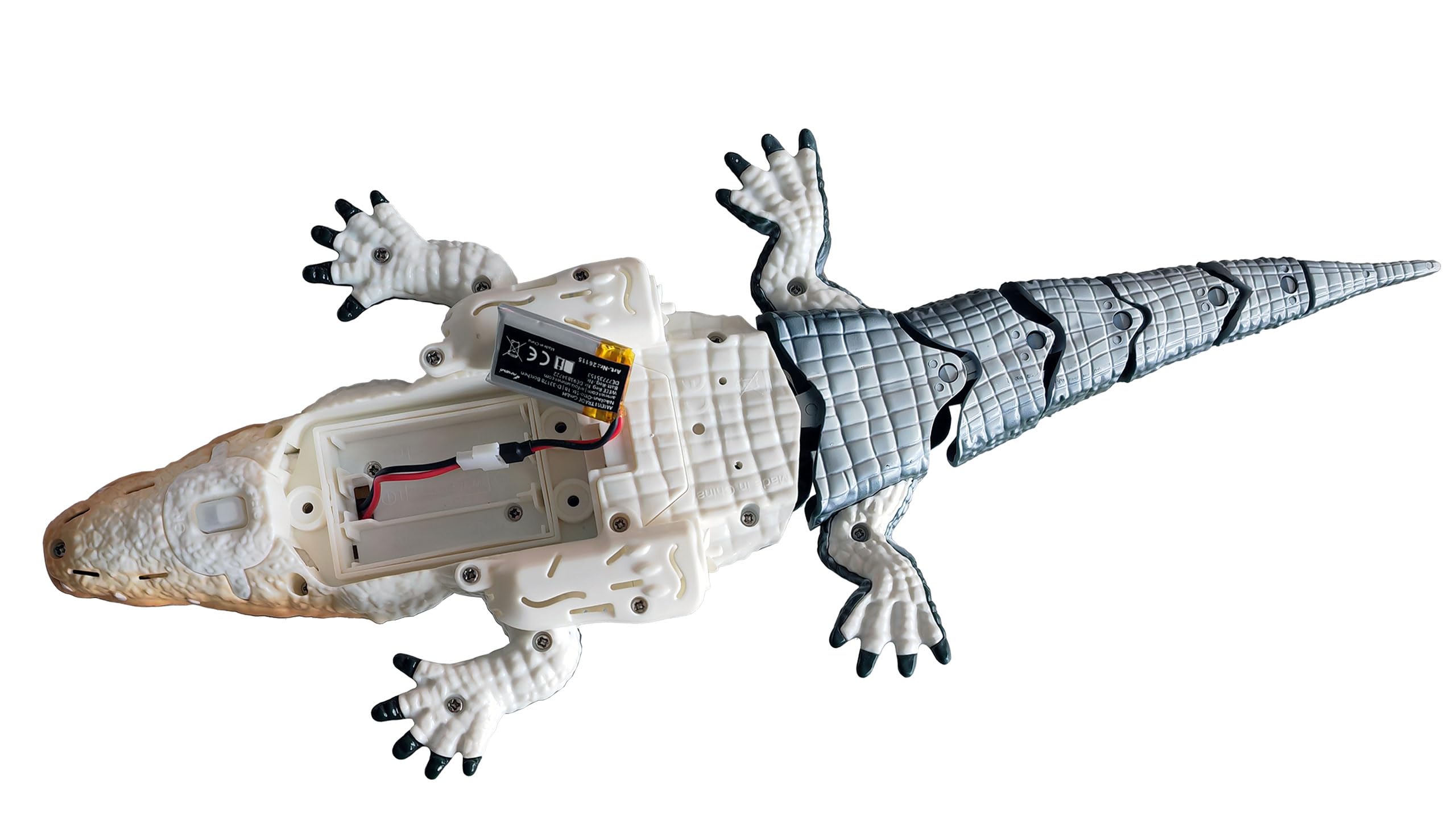 Amewi Croco das kleine Krokodil 370mm 4-Kanal RC ferngesteuert RTR, grün