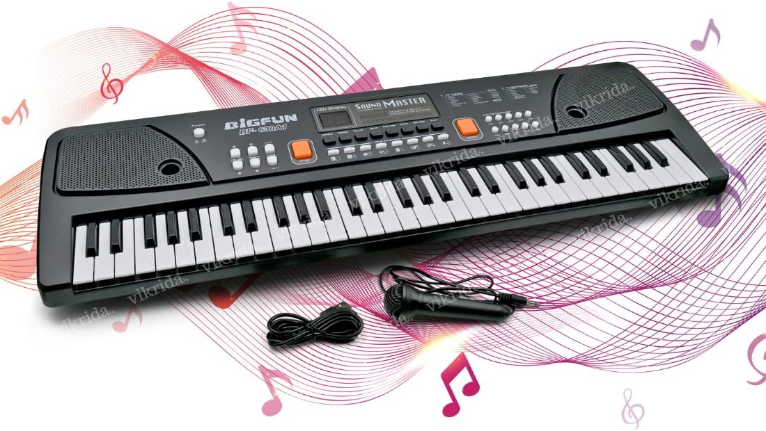 Buy VikriDA Portable Electronic Keyboard Piano 61 Keys Piano Keyboard