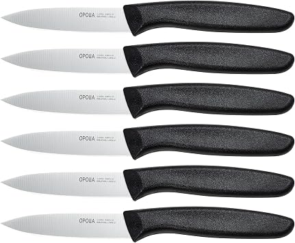 Fruit Knife Set of 6,Straight Edge,Stainless Steel,PP Handle,Black