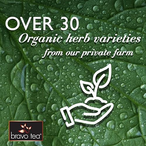 Miniatura 4 de Bravo Tea Absolute Ginkgo Biloba - Té de hierbas sin cafeína, 20 bolsas de té