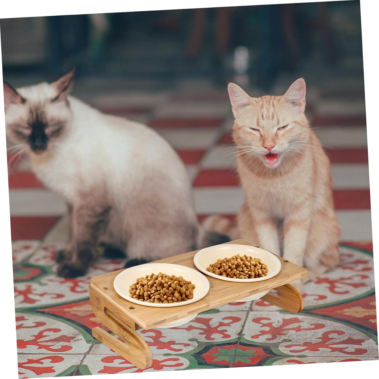 BESPORTBLE 1set Elevated Cat Feeding Bowls Ceramic Food Dishes Non- Base Comfortable Design for Easy Eating for and Kittens Capacity