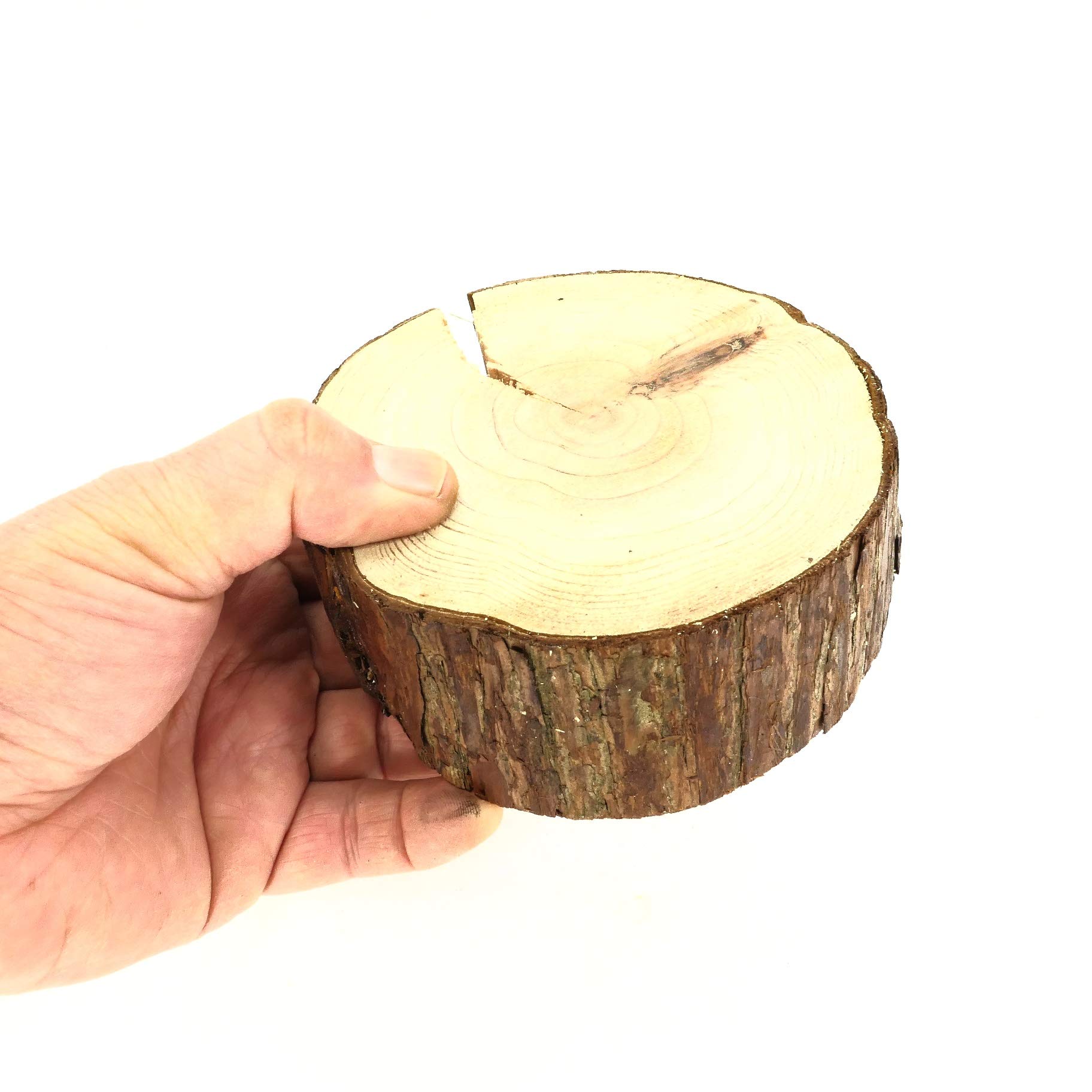 Amazon.co.jp: 天然木の台座 ディスプレイスタンド スギの木 切り株 約 Amazon.co.jp: 天然木の台座 ディスプレイスタンド スギの木 切り株 約