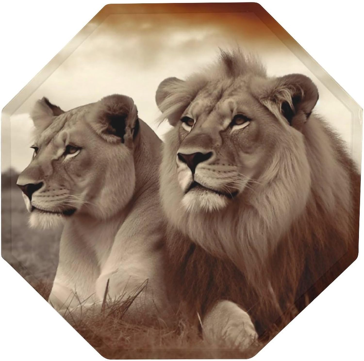 Ctagon Metal Sign for Home, Modern Display Plate for Kitchen, African Lion And Lioness Plates Accent Hanging Wall Decorations 3PCS for Living Room, Bedroom, Hallway, Hotel