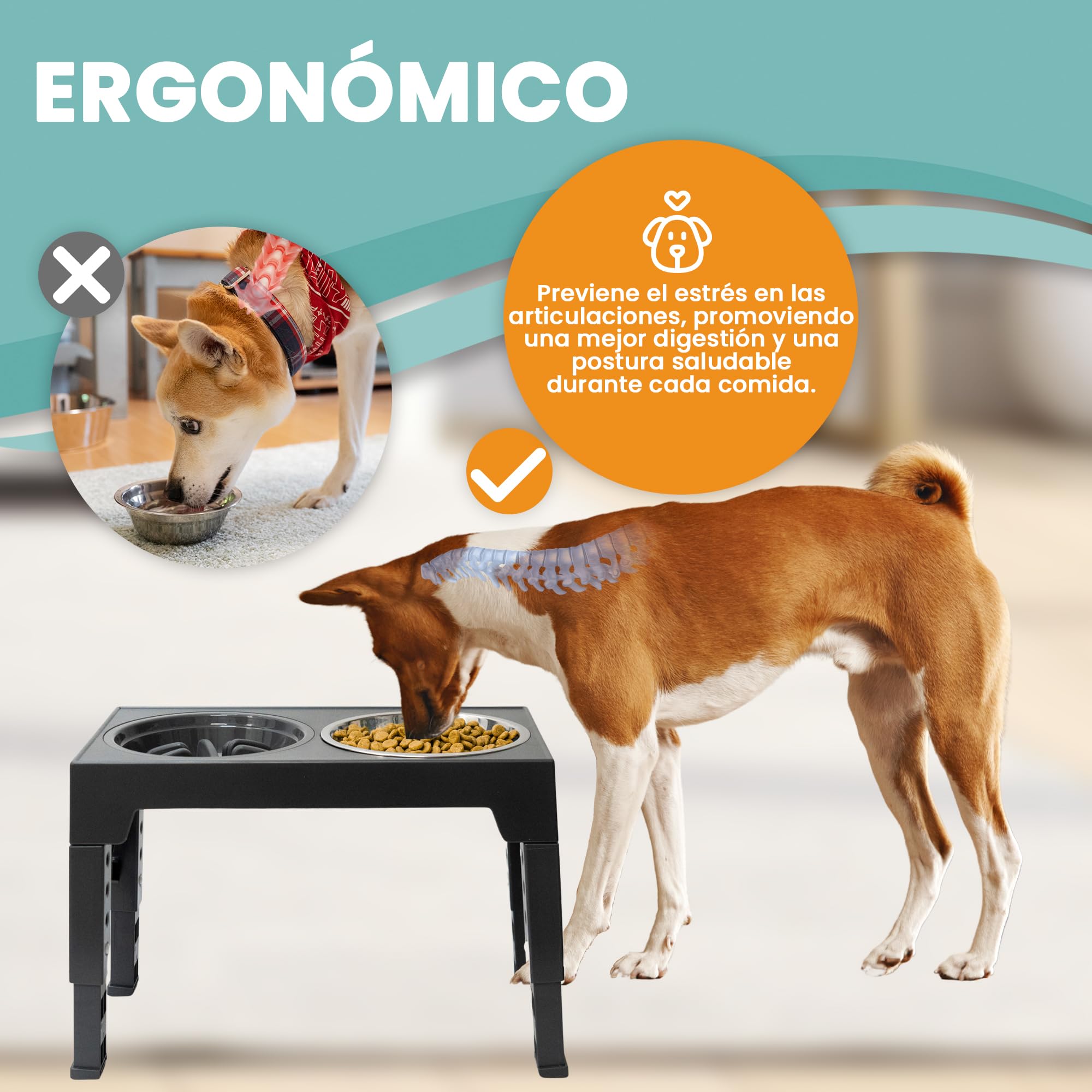 Comedero Perro Elevado de 5 Alturas Ajustables - Comedero Perro Antivoracidad 1x800 ml - Bebedero de Acero 2x1200ml. Cuencos Elevados para Perros Pequeños Medianos y Grandes + Botella Portátil