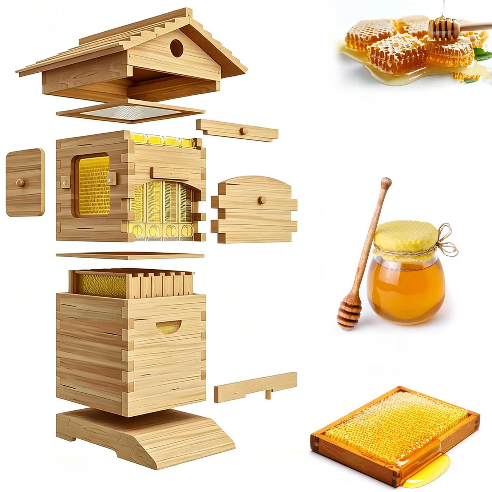 Kit Completo de Colmena de Abejas autofluyente, Modelo Mejorado, Incluye 4 Marcos y 6 bandejas de Panal. para Principiantes en Apicultura doméstica, con Ventana de observación