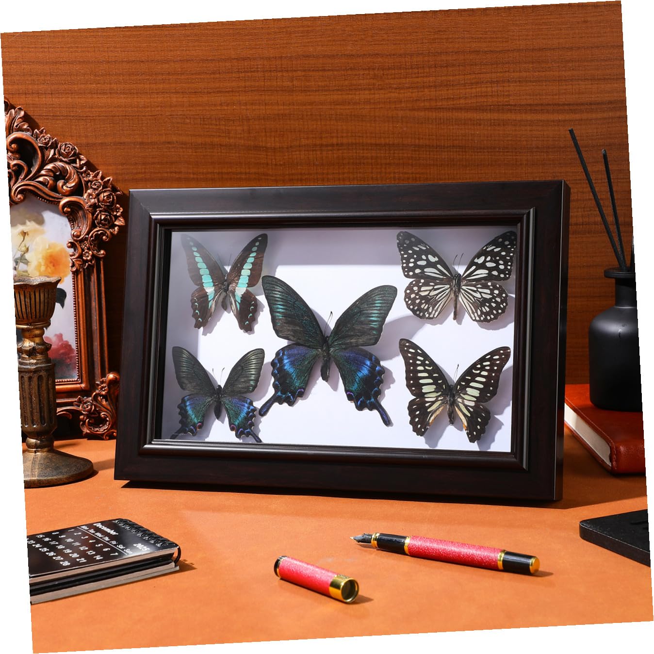 Cuadro Decorativo de Pared con Ejemplar de Lepidóptero A7 en Madera