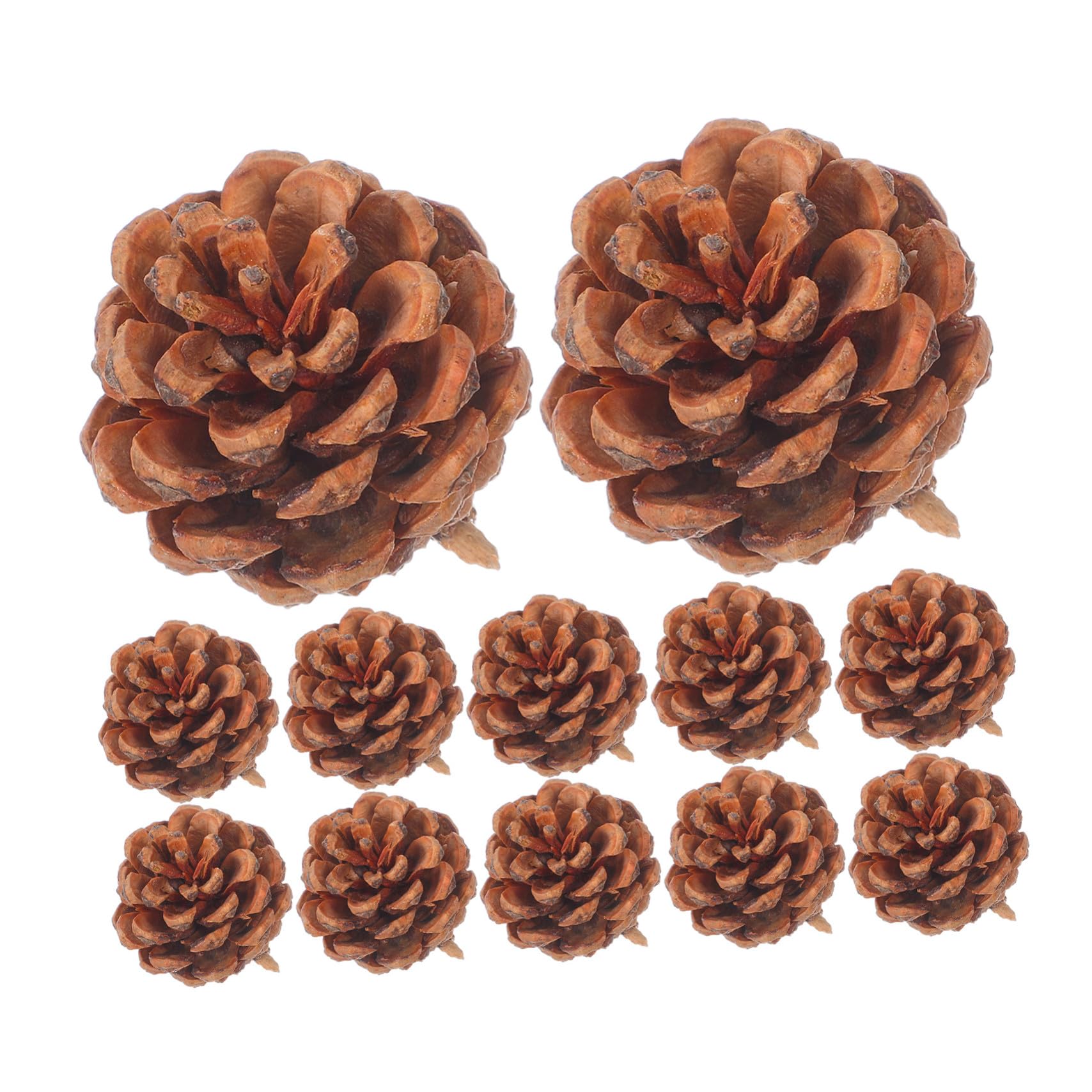 130 Mini Piñas de Pino Reales para Adornos Navideños y Decoraciones de Invierno, Fáciles de Almacenar, Ideales para Manualidades y Relleno de Jarrones