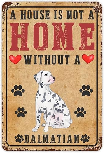 Vista 49 de Letrero de metal con texto en inglés «A House is Not A Home Without A Dogo Argentino» («A House is Not A Home Without A Dogo Argentino»)