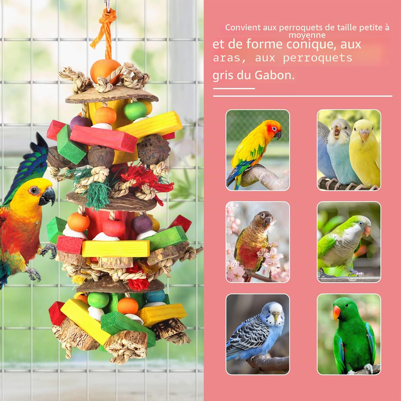 Jouets pour perroquets Jouets pour perruches et Accessoires, Jouets à mâcher pour Oiseaux avec Noix Naturelles, Jouets de Cockatiel Blocs en Bois colorés pour perruches Gris d'Afrique Amazone Mini