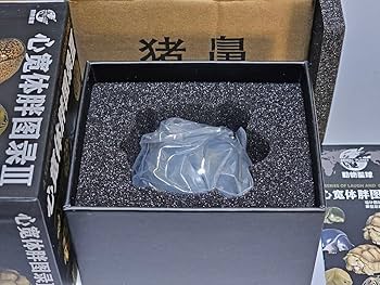 Amazon.co.jp: 廃番動物の惑星 スッポンモドキ 第3弾 動物星球