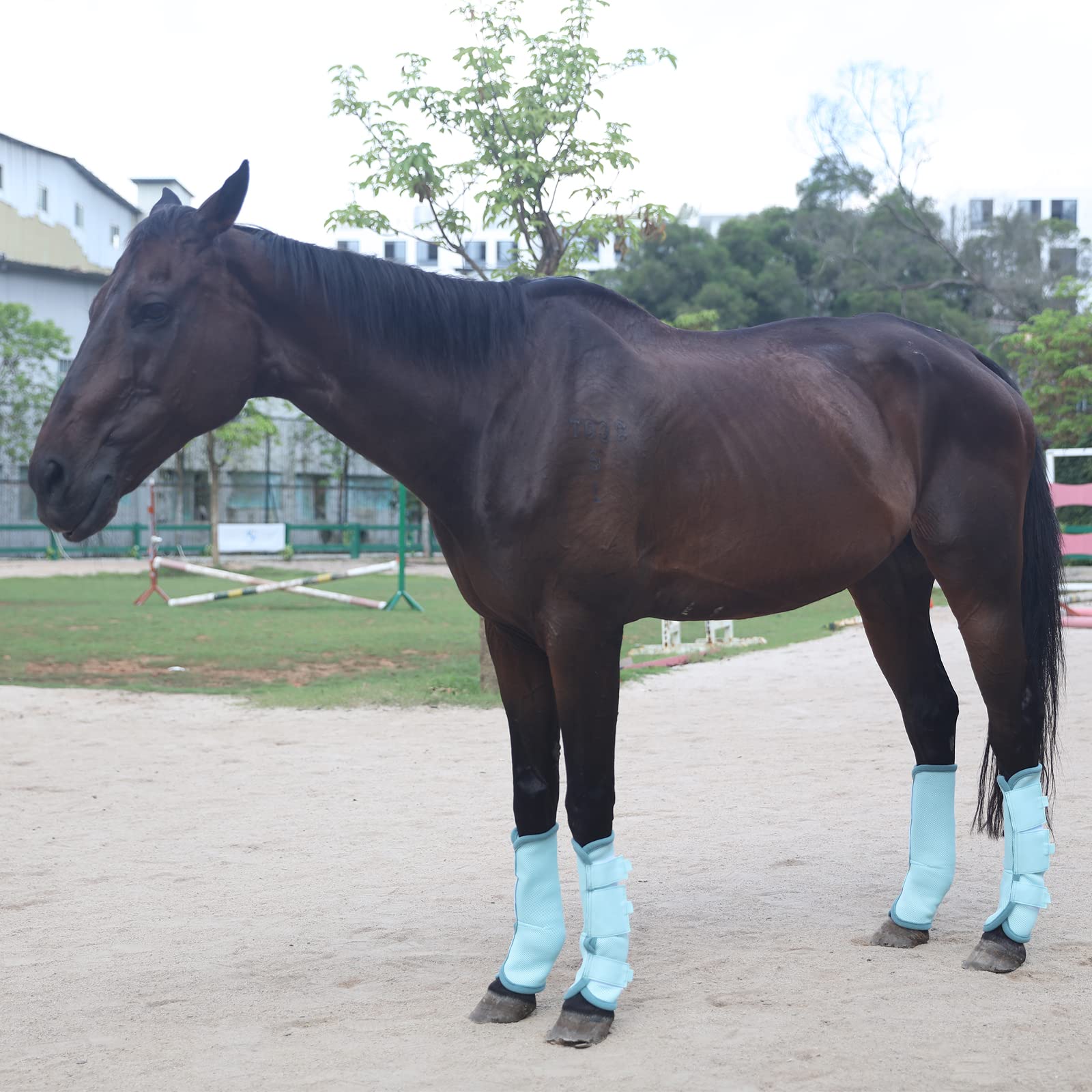 Set di 4 stivali da mosca per cavalli, traspiranti e comodi, leggings per cavalli in rete riducono il calpestio, lo stress degli zoccoli e l'affaticamento delle gambe, SkyBlue Pony