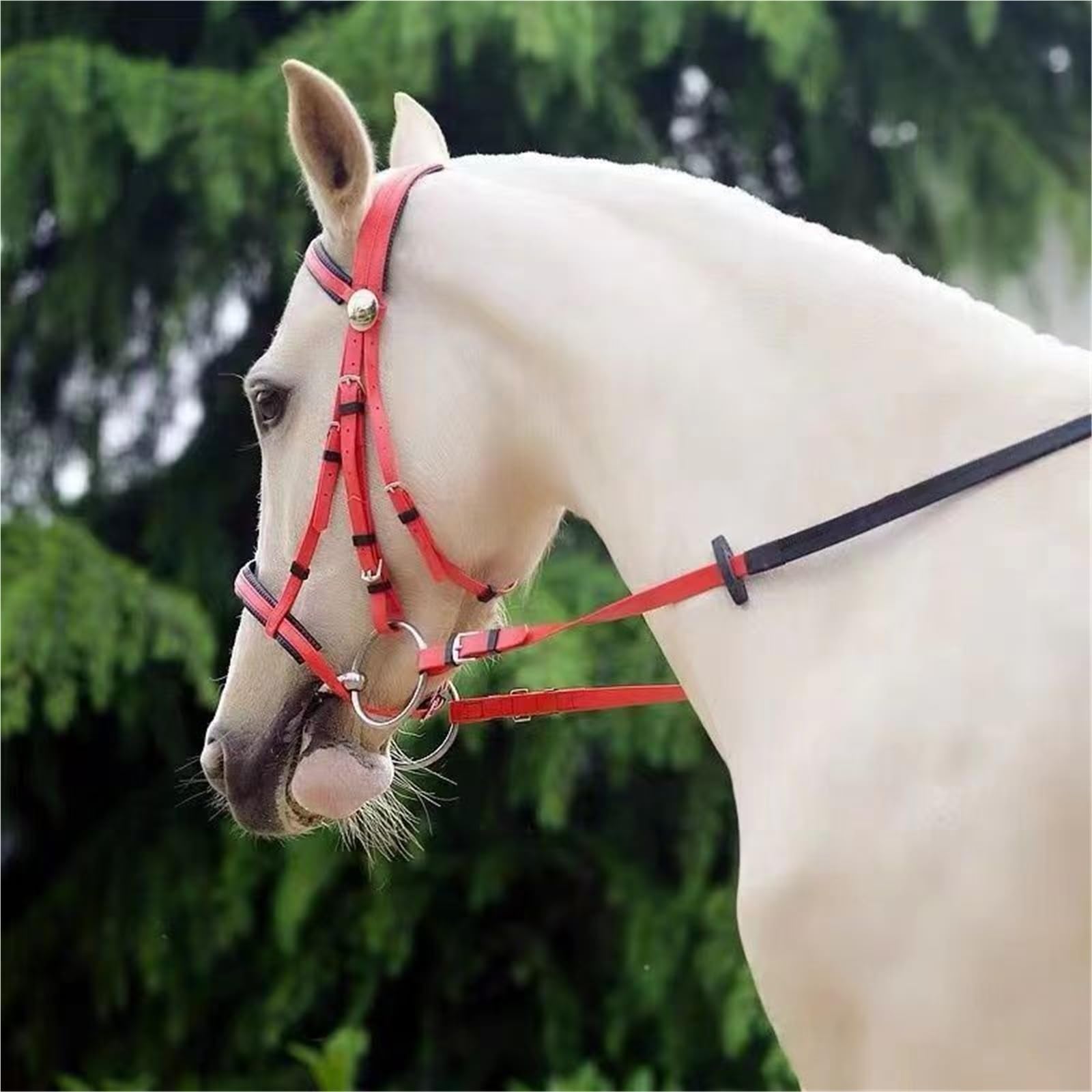 Cavezza Per Cavallo Collare for testa di cavallo in PVC Halter Cavalli da corsa Attrezzatura equestre(Blue)