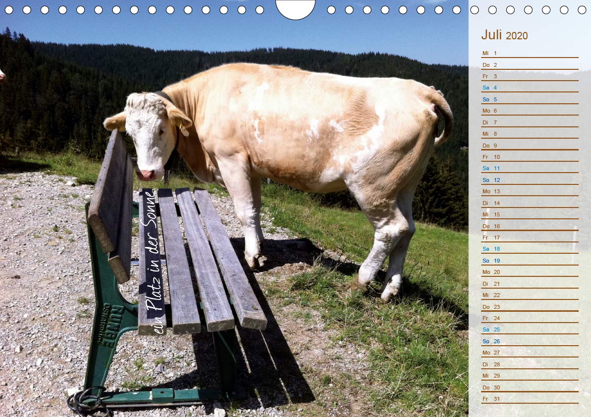 "Du bist wie..." (Wandkalender 2020 DIN A4 quer): Geschenkekalender & Planer (Geburtstagskalender, 14 Seiten ) (CALVENDO Kunst)