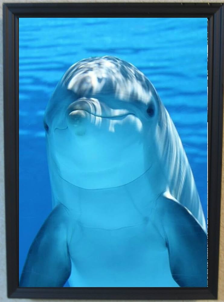 Amazon.co.jp: Genius Collections イルカ ポスター 額付き 壁掛け