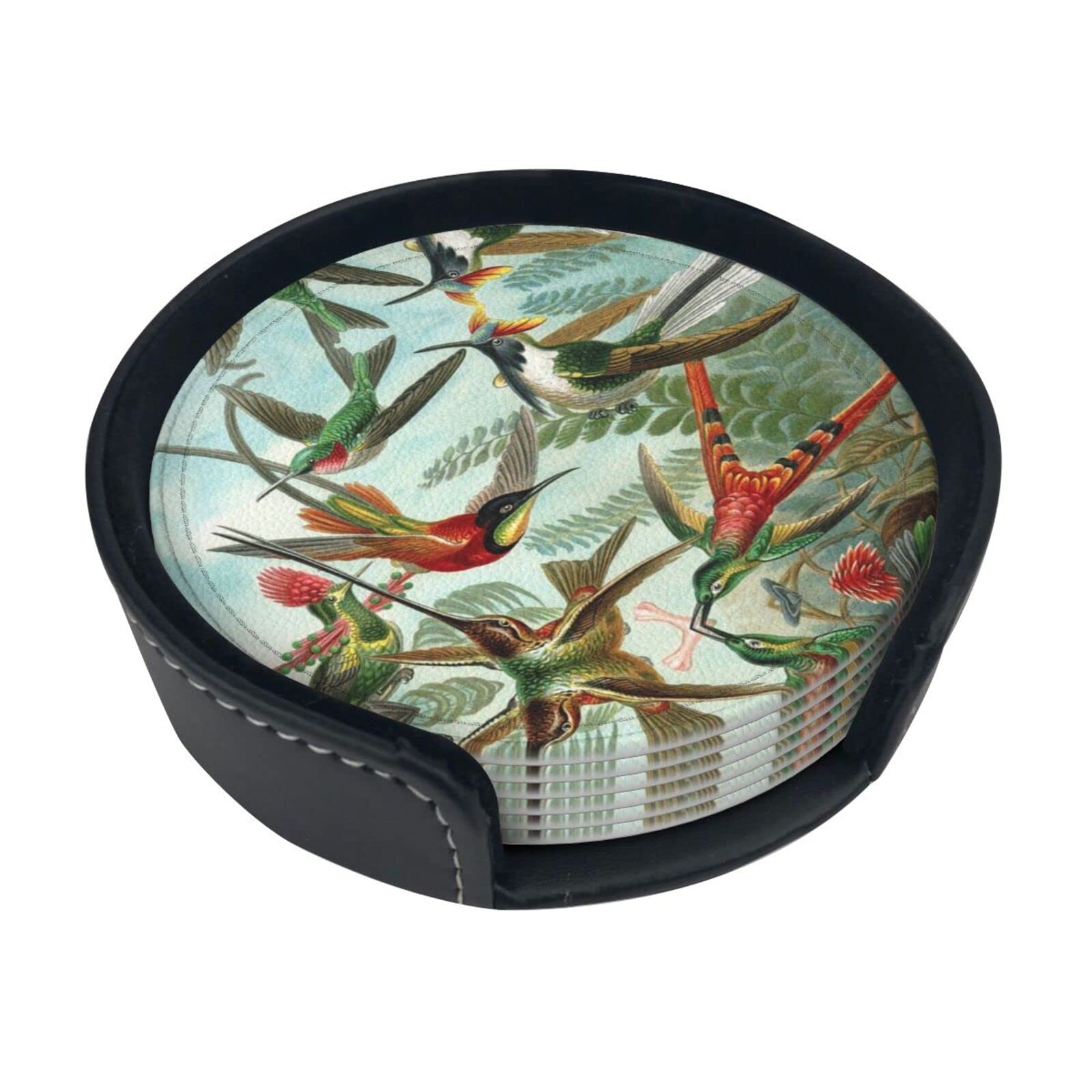 Beautiful Hummingbirds Coaster,6 Pcs Leather Coasters, for Drinks Absorbent with Storage Box