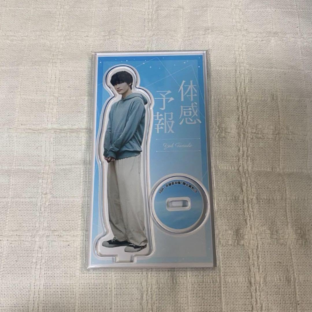 Amazon.co.jp: 体感予報 棚田葉 増子敦貴 アクスタ アクリルスタンド  