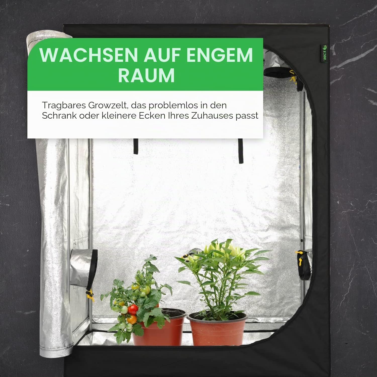 TNT 120 l Wachstumszelt (120 x 60 x 160 cm)