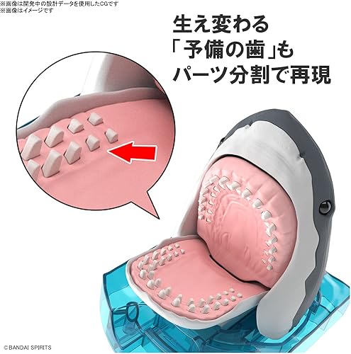 Vista 4 de Bandai Hobby - Explorando la naturaleza del laboratorio - Gran kit de modelo de tiburón blanco