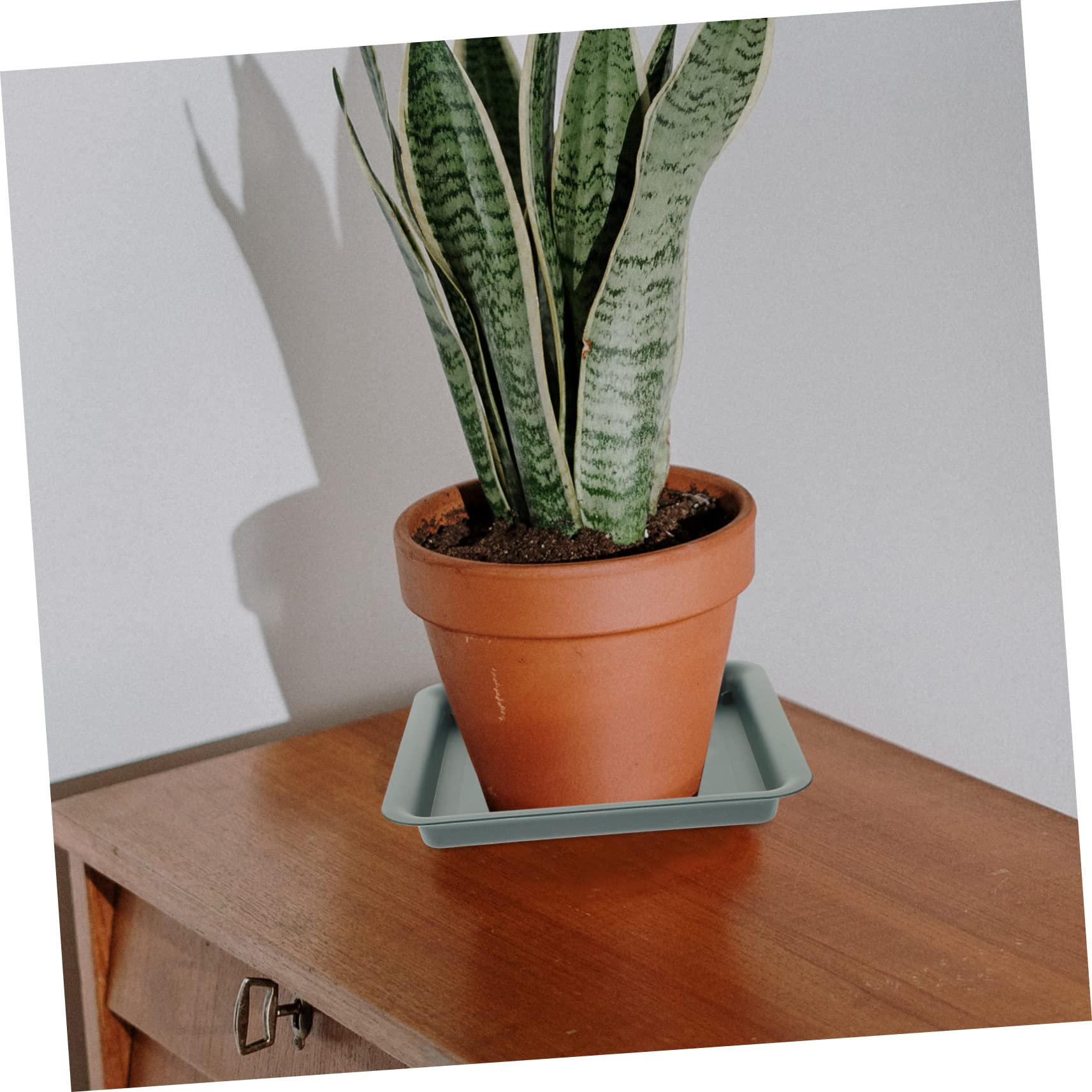 Yardwe Sottovasi Quadrati in Plastica Rossa per Vasi di Piante Piccoli 18x18 Cm Set da 10 Pezzi per Interni ed Esterni Protezione Superfici e Annaffiatura Piante da Giardino