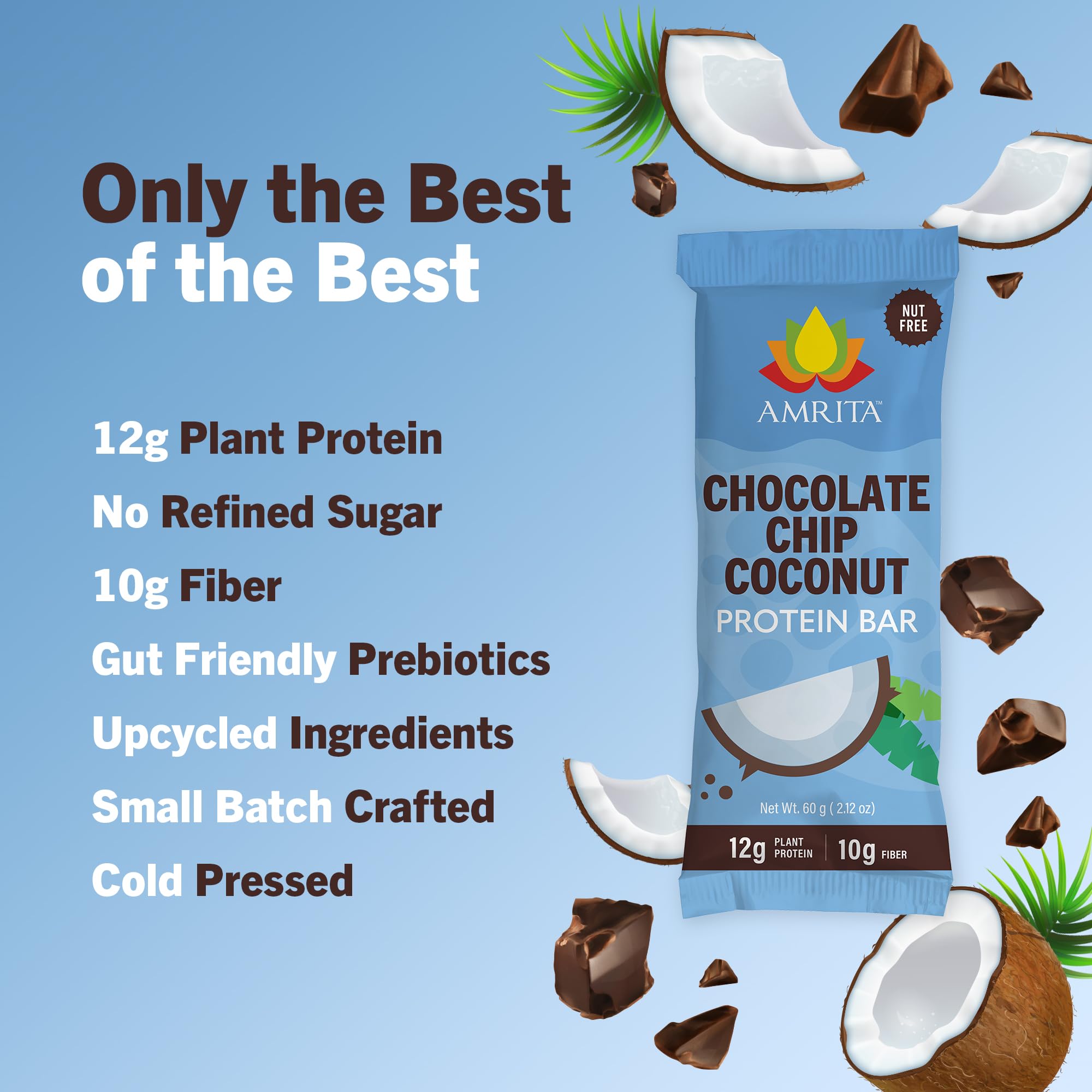 Amrita Health Foods Paleo-friendly Nutrition Bar, Protein Bar Alta Con 15G proteine, vegan Approvato, Senza glutine, Dairy-Free, soia libero, pacchetto gocce di cioccolato di noce di cocco