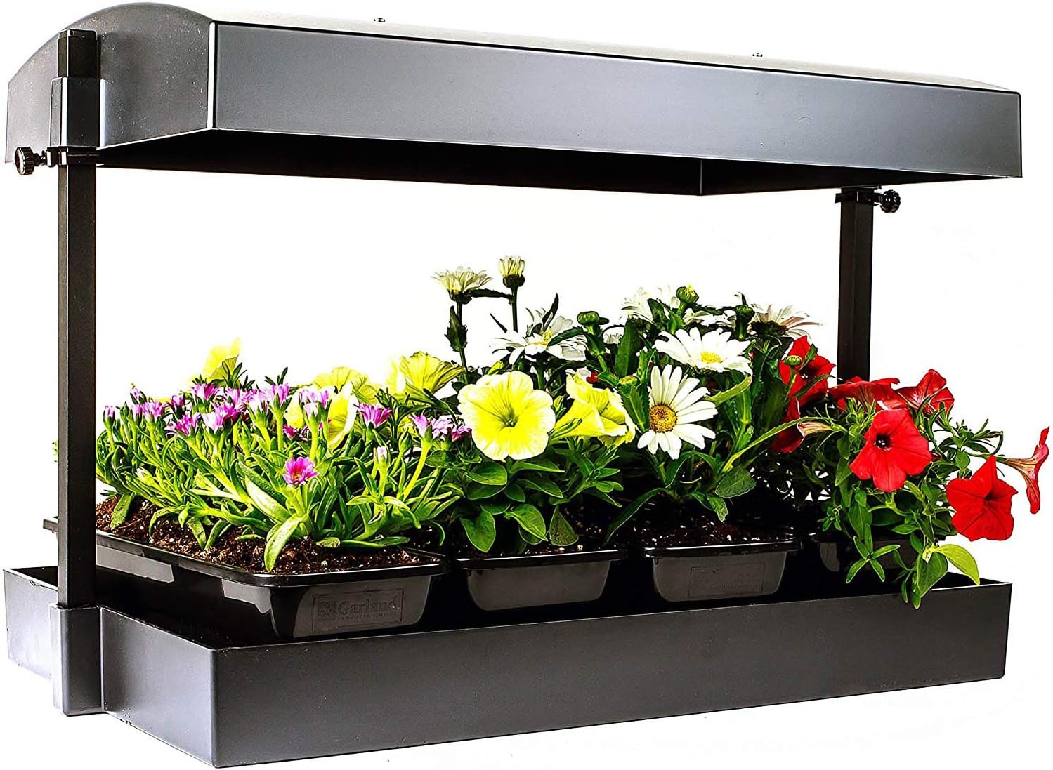 SunBlaster T5HO Indoor Growlight Garden, Home Growing Kit Black Large