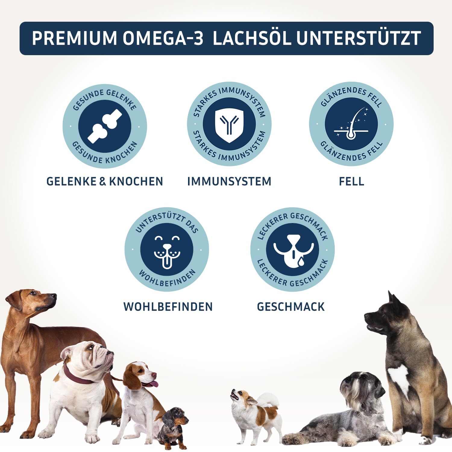 PetFokus Premium Omega 3 Lachsöl für Hunde EPA DHA Fettsäuren Flasche 500ml