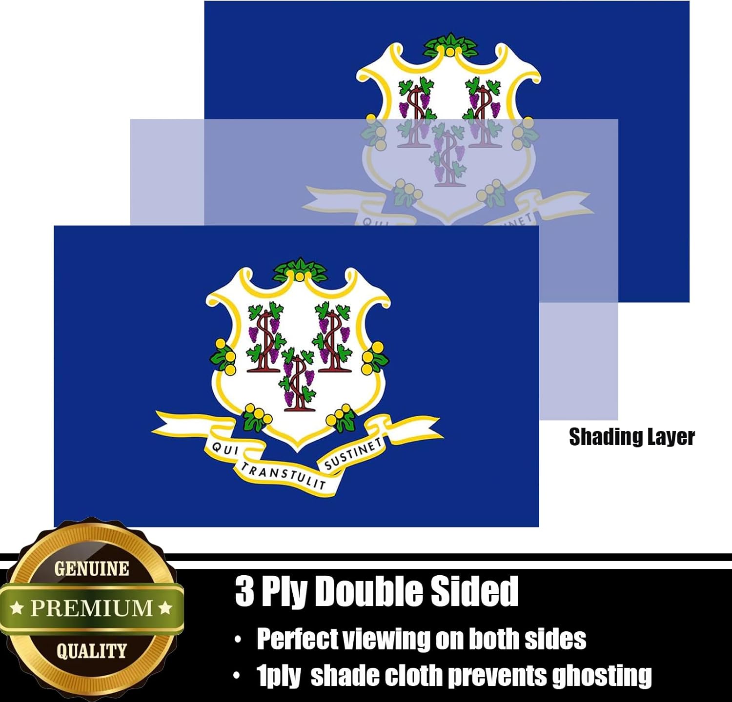 Connecticut Flag 3x5 FT Sturdy for Outside, Heavy Duty 3Ply Polyester Connecticut State Flags Outdoor, Double Sided Long Lasting CT State Flag Brass Grommets - Image 2
