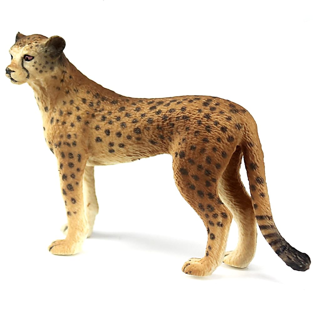 FUNSHOWCASE African Jungle Animals Female Cheetah Toy Figure Realistic Plastic Figurine Height 2.2-inch