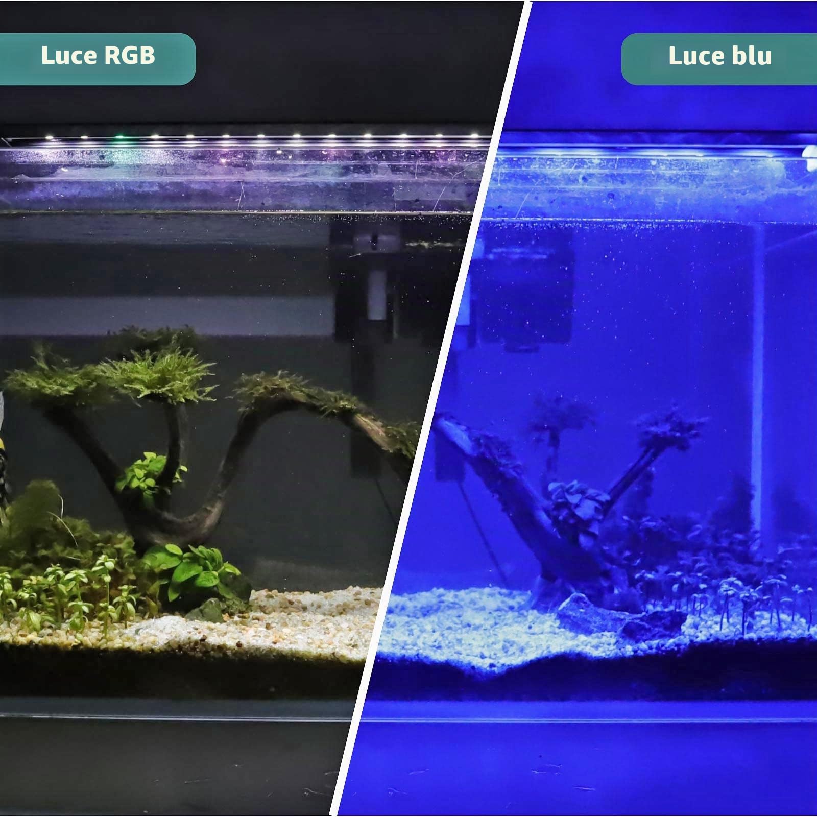 hygger Luce LED per Acquario 20W RGB Spettro Completo con Monitor LCD 60-82cm