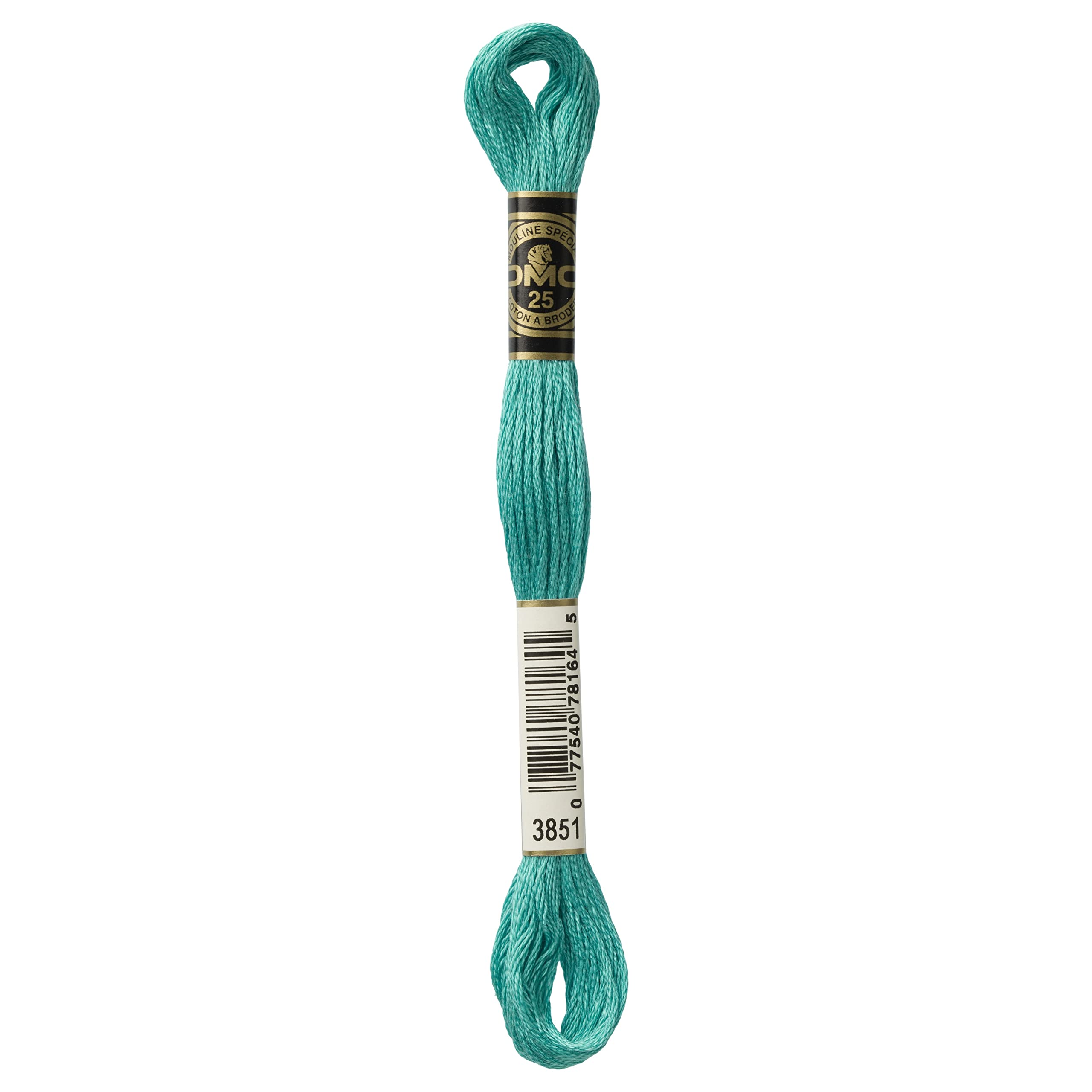 DMC 6-Strand Embroidery Cotton Floss, Light Bright Green