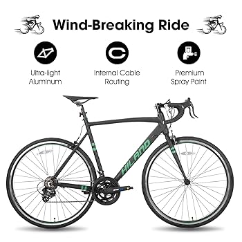 自転車本体 hiro